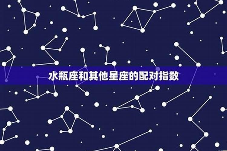 水瓶座的速配星座是什么座