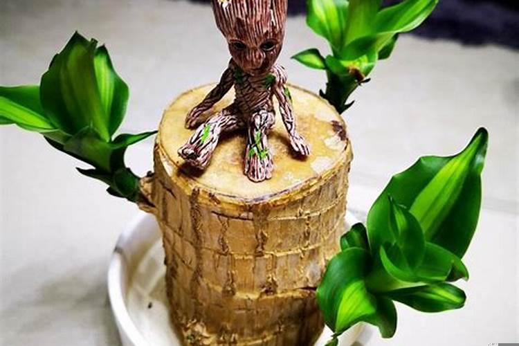 一个小人坐在木头上是什么木