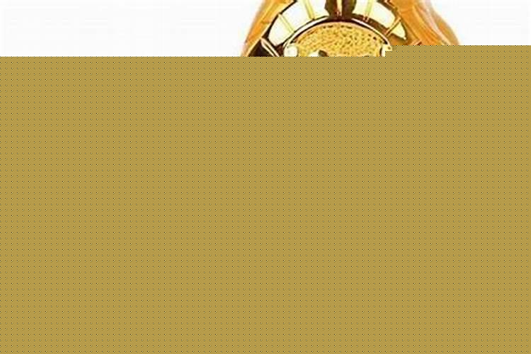 属蛇人家里摆什么最好