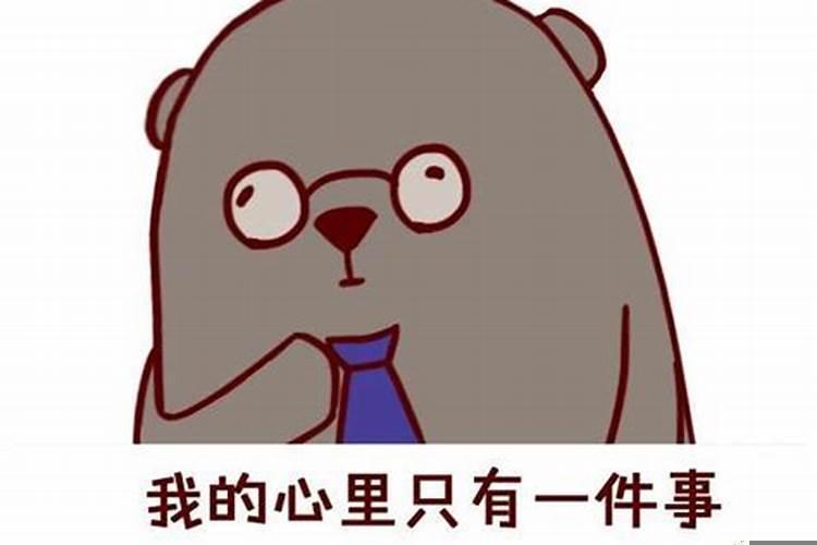 性格最要强的星座女