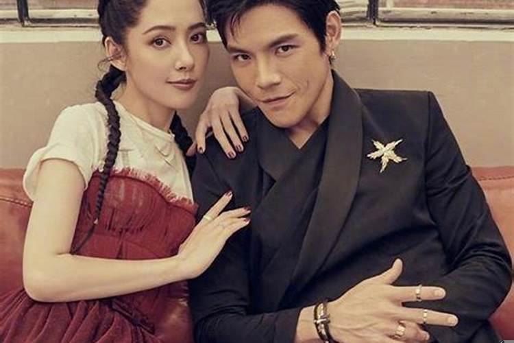 向佐和郭碧婷现状