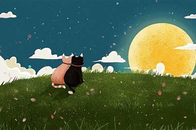 人家说做个好梦，我该怎么回复