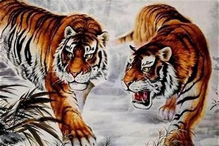 属虎的人2022年事业怎么样