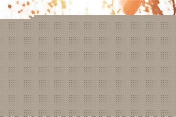 最近总梦到自己出轨别的男人