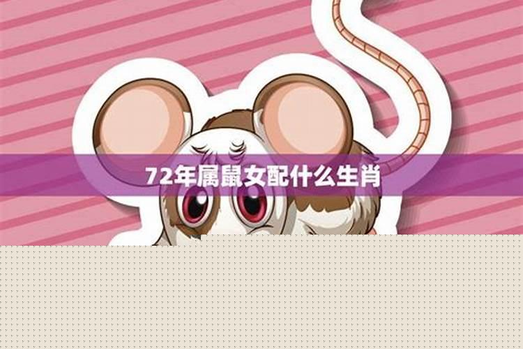 鼠的婚姻配对最佳