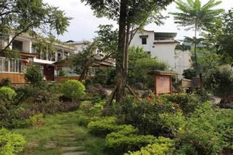 农村住宅前后种树风水