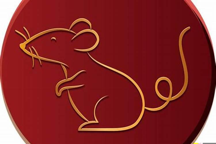 男鼠与女蛇属相合不合