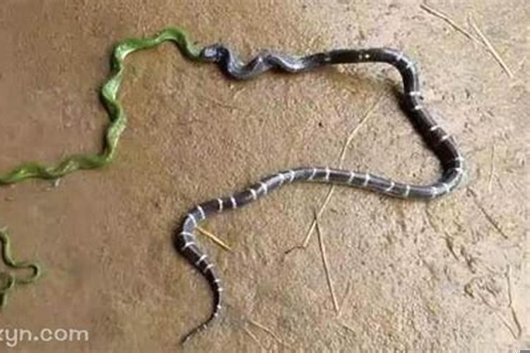 梦到朝霞和日出