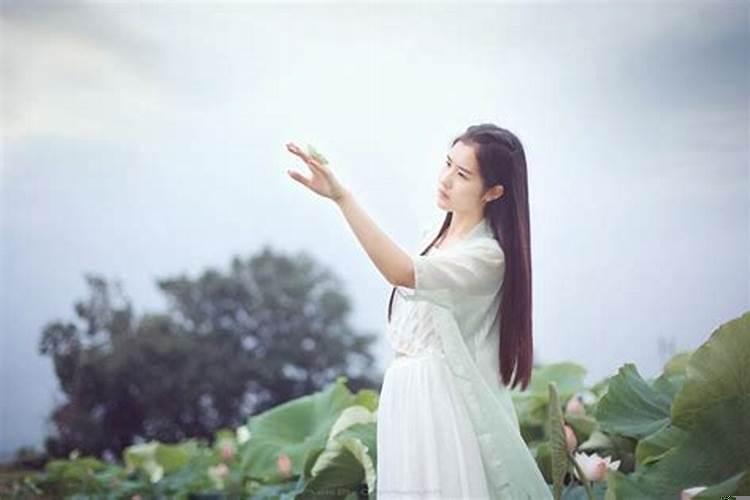 龙与猴属相婚配可以吗