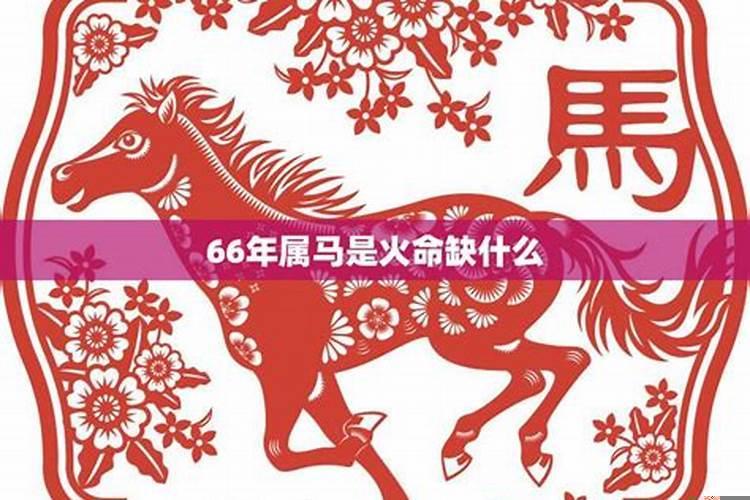 66年属马的是什么命