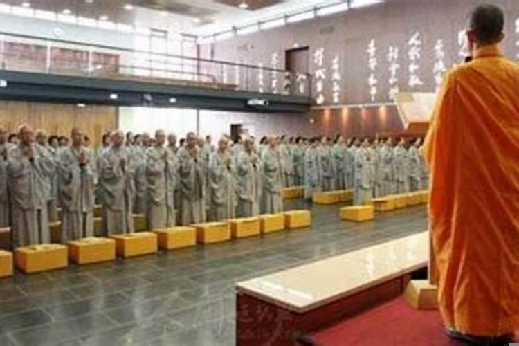 1954年属马什么命