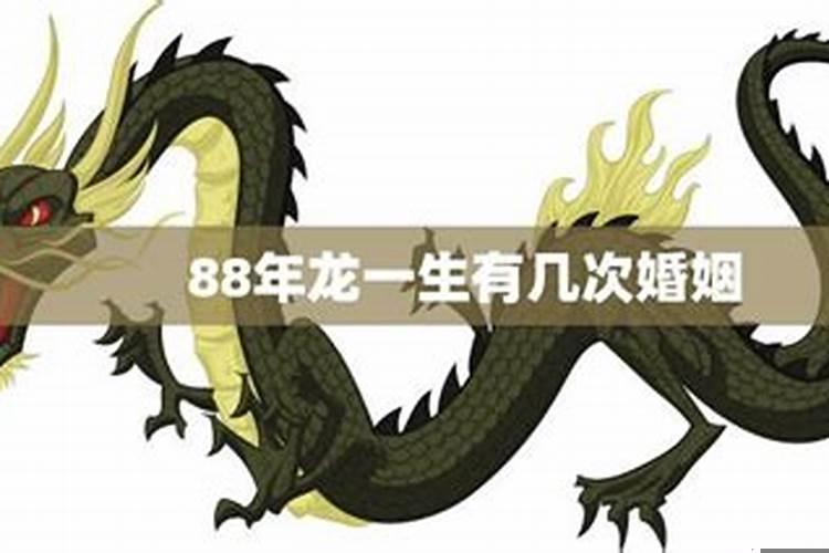 88年龙的婚姻与运气