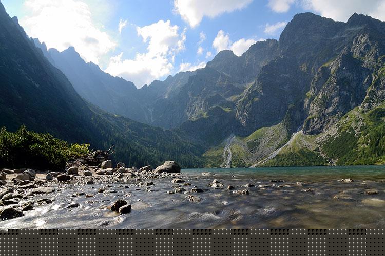 秦东魁讲2021年犯太岁的生肖