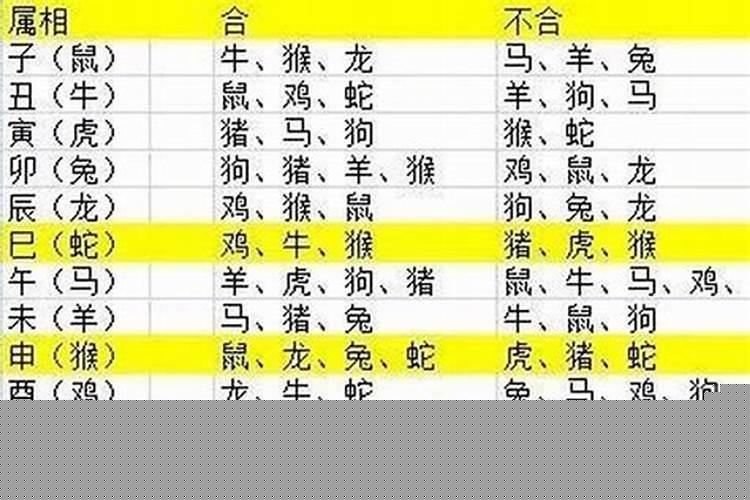 2020年的宝宝是属什么的