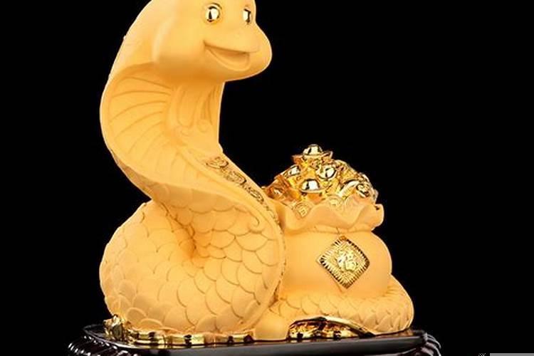 属蛇人家里摆什么最好