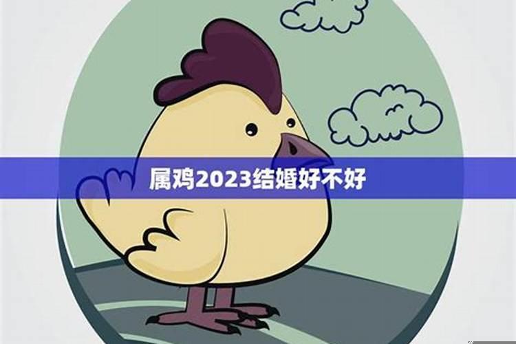 属鸡的和属狗的结婚了会怎么样