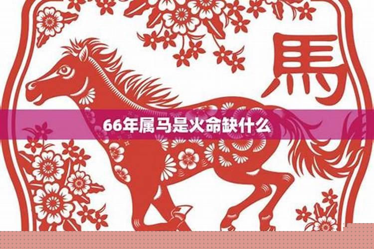 66年属马的是什么命