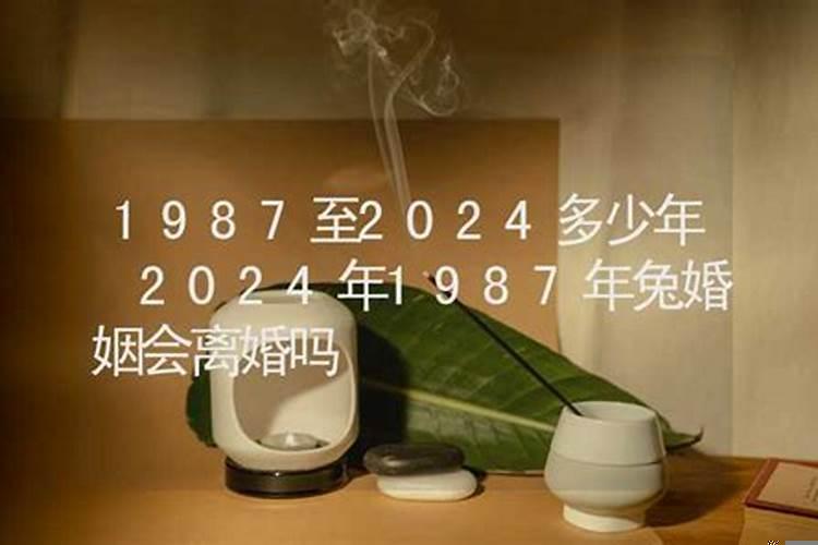 75年的兔今年会离婚吗