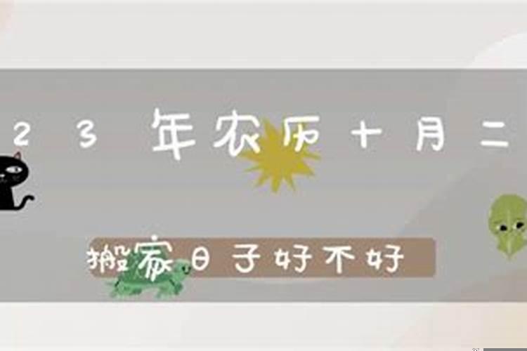 2025年农历十月二十六是什么日子