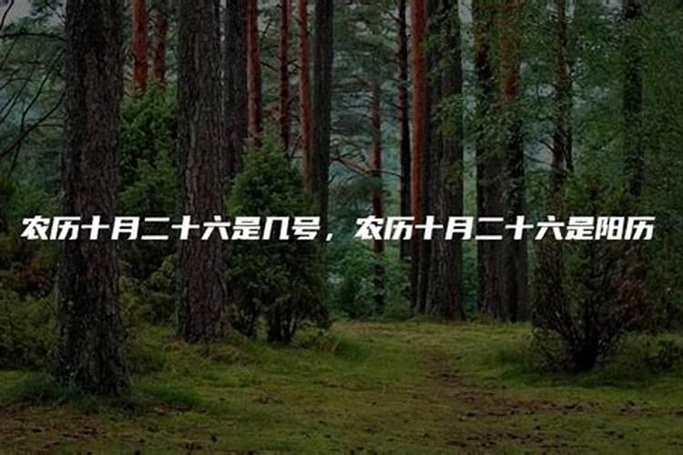 2025年农历十月二十六是什么日子