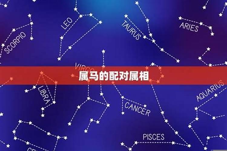 1990年属马配什么生肖最好