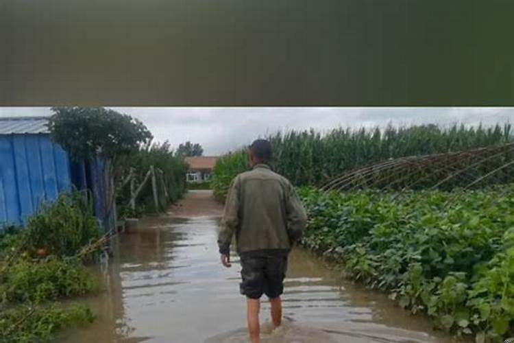 梦见田地被水淹没
