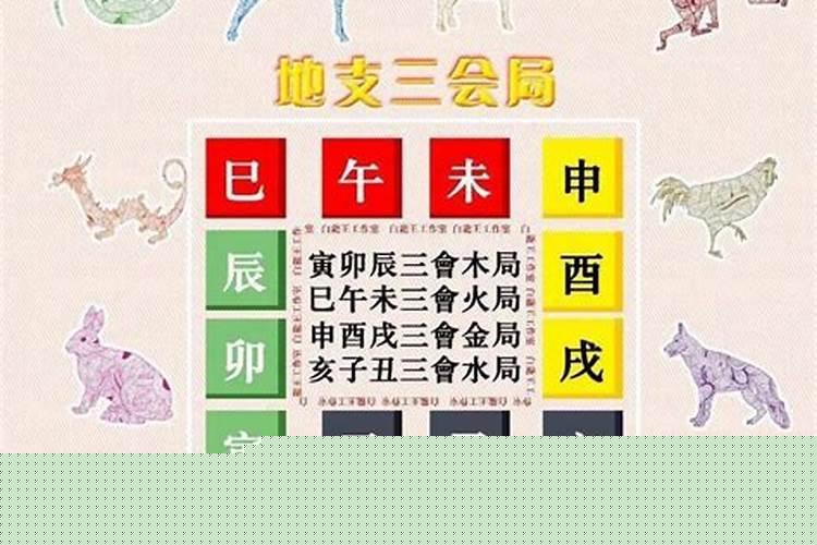 地支三会会发生什么