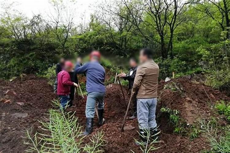 八月份哪天适合迁坟