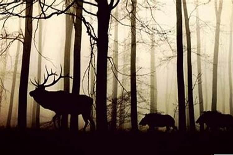 1970年7月生人命