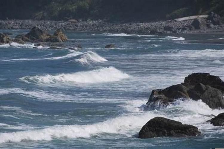 梦见海水涨潮什么意思