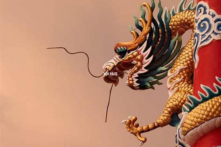 属龙的几日出生命最好