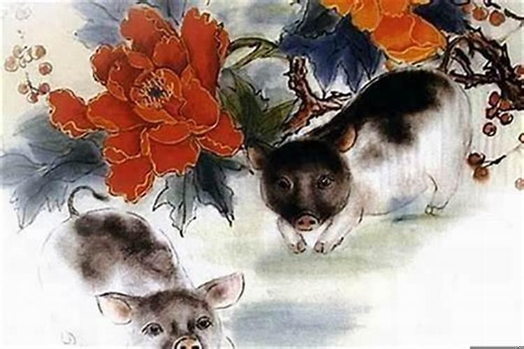 属猪住几层楼好