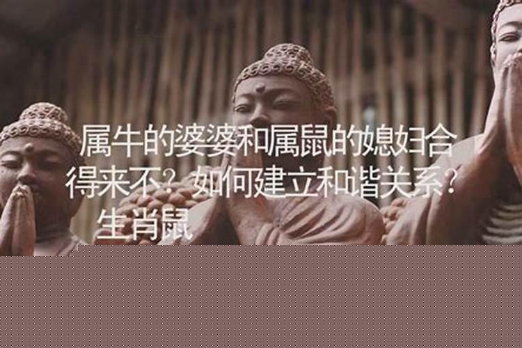 属牛的和属老鼠的合吗