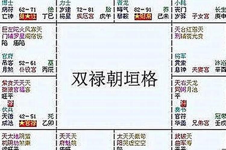 紫微斗数怎么看命格
