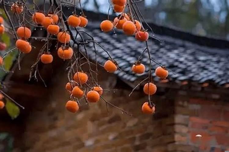 做风水一年赚1000万