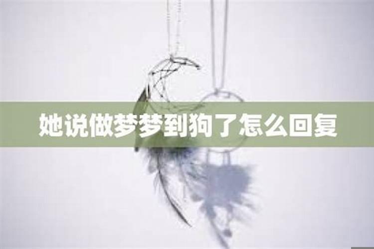 人家说做个好梦，我该怎么回复