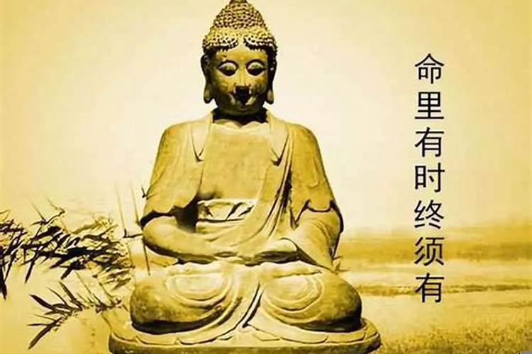 为什么每个人的命运都有定数