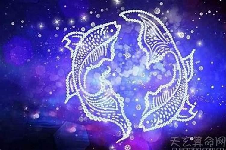 双鱼座的人属什么