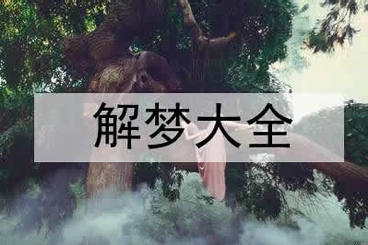 晚上睡觉总是梦到前女友