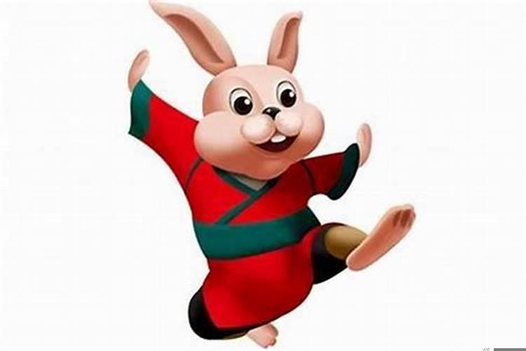 属兔不可以佩戴什么