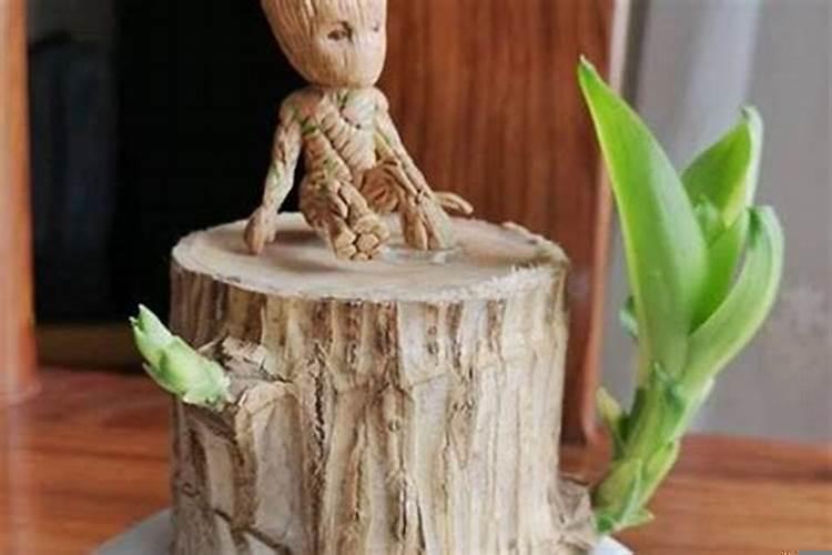 一个小人坐在木头上是什么木