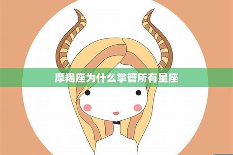 摩羯座为什么那么努力