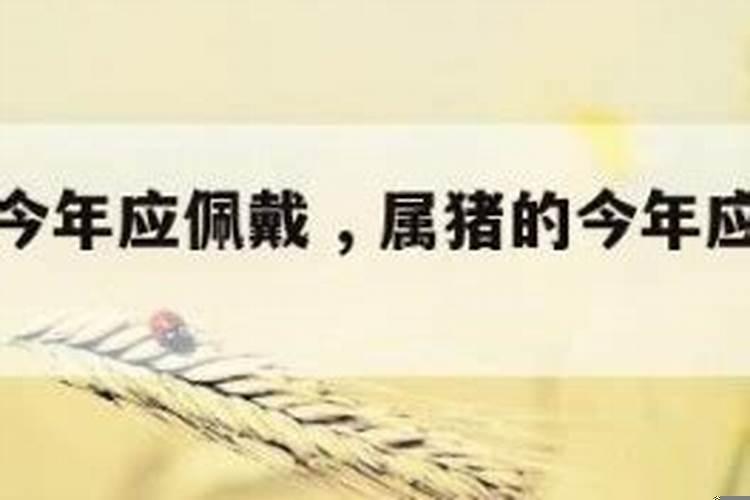 属猪的适合佩戴什么菩萨