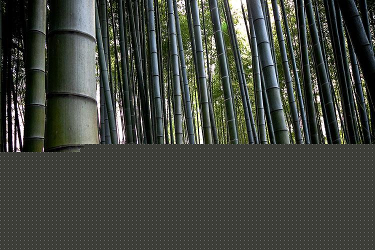 店铺风水布局怎么可以旺财