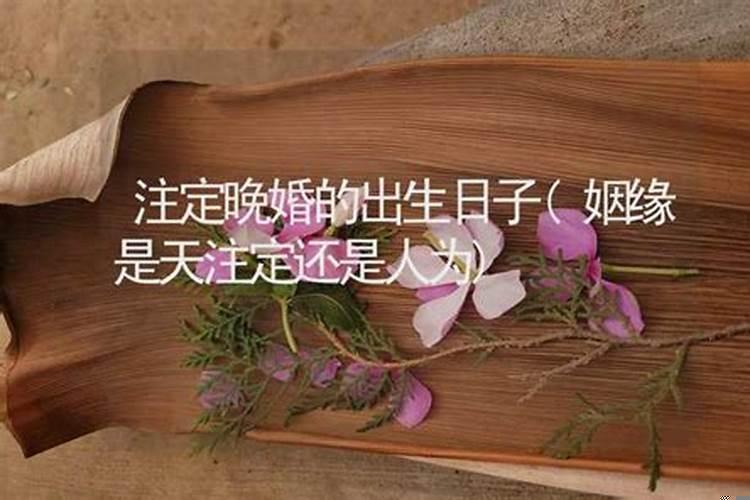 缘分是不是天注定的