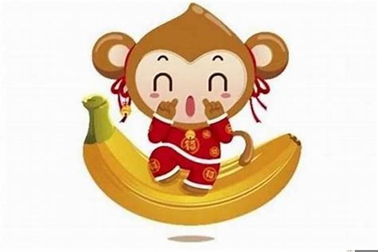 1980年属猴的是什么金命还是木命