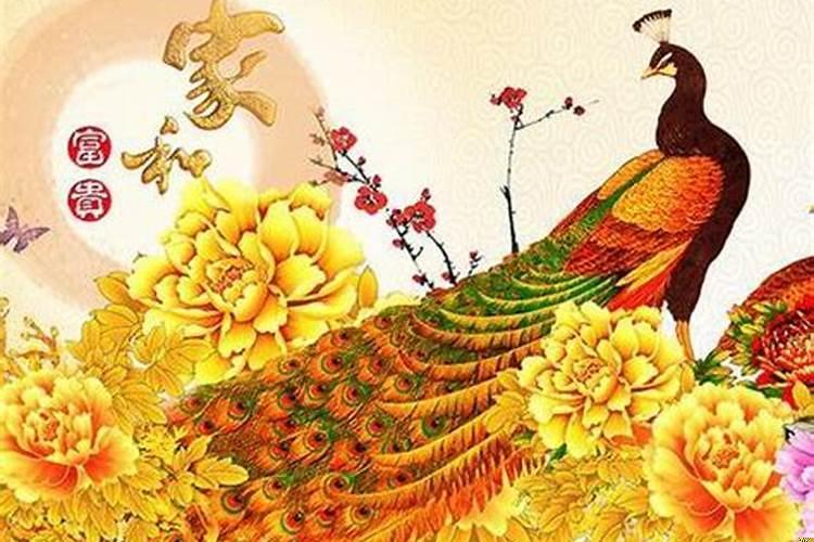 喜欢新鲜感的生肖女