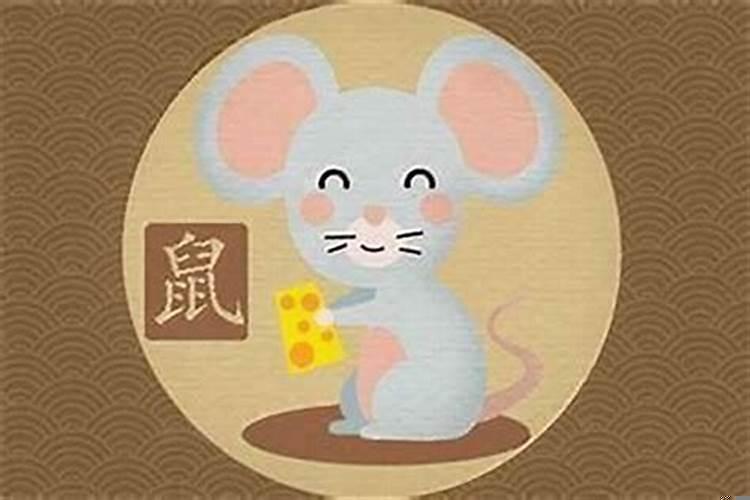 72年属鼠今年命运
