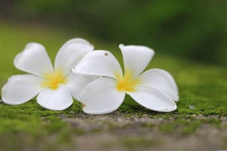 事业有贵人帮扶