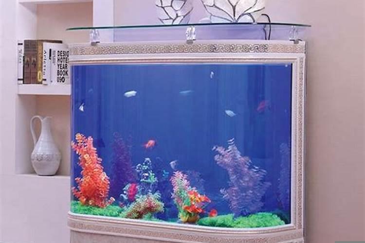 鱼缸水的高度风水